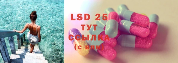 гидра Верея