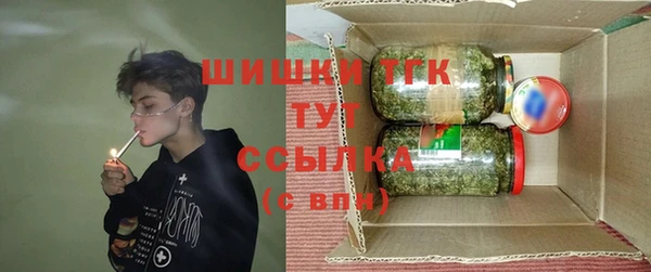 гидра Верея