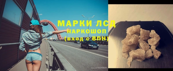 гидра Верея