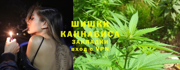 гидра Верея