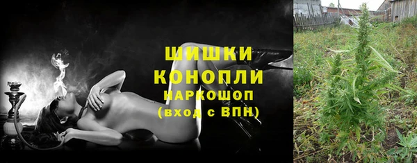 гидра Верея