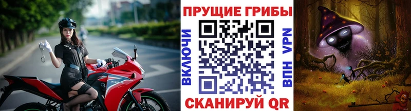 Галлюциногенные грибы Psilocybine cubensis  Купить где  Боготол 